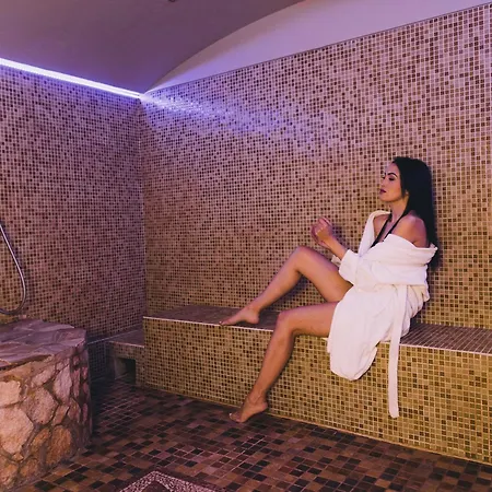 Sardegna Termale Hotel&spa Otel Sardara